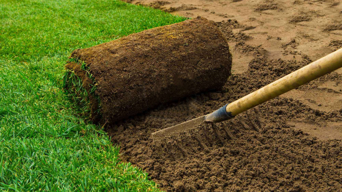 Καθαρισμός Κήπων   Αρπάγες