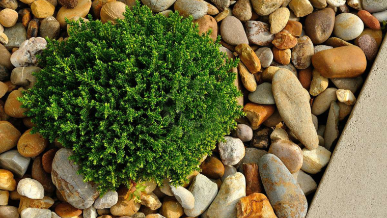 Κατασκευές Κήπων